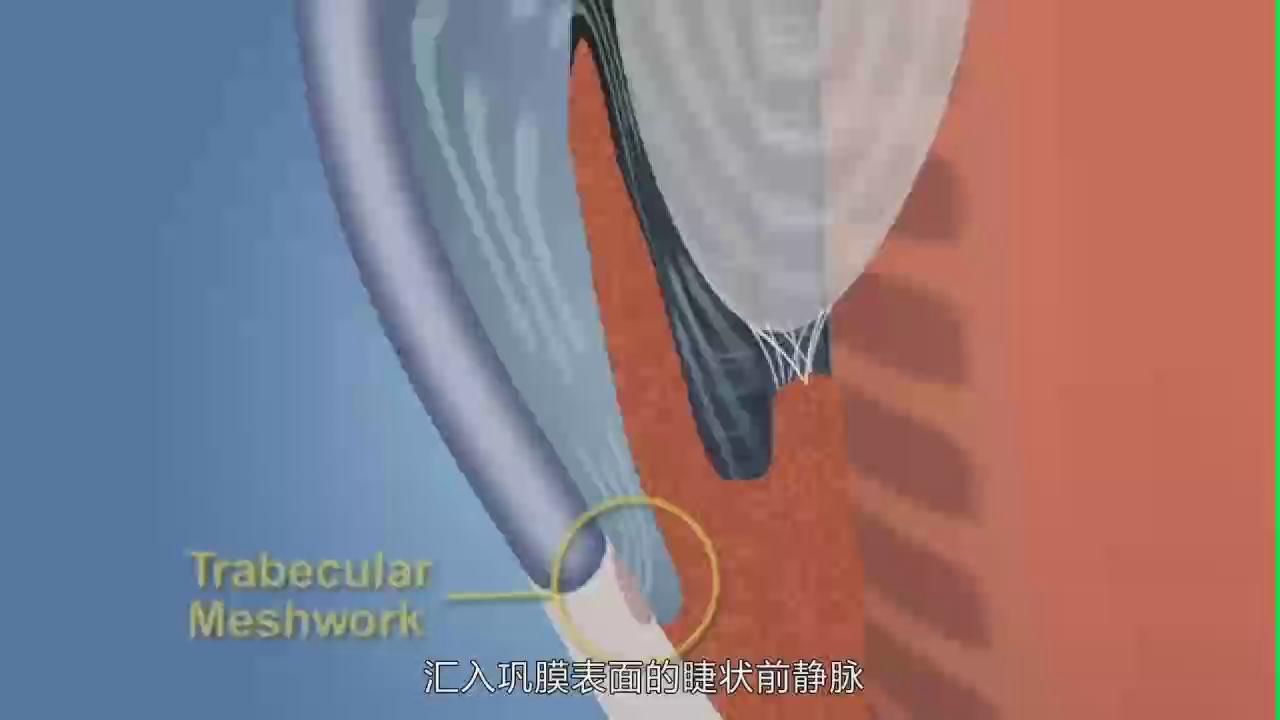 &#112;&#112;&#30005;&#23376;&#40;&#20013;&#22269;&#28216;&#41;&#23448;&#26041;&#22312;&#32447;&#24179;&#21488;